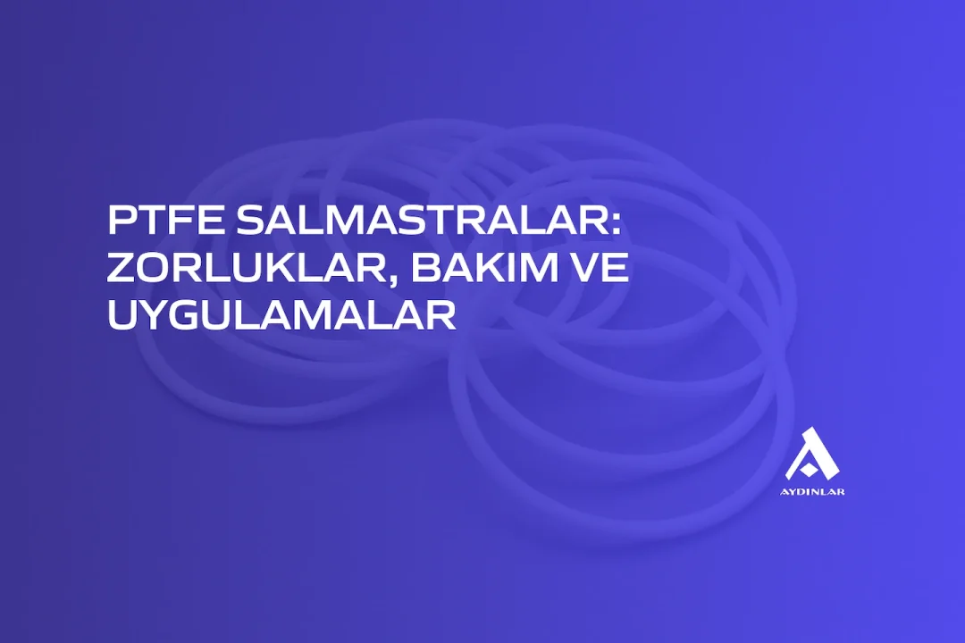 PTFE Salmastralar